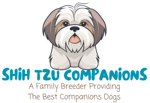 Shih Tzu Companions - AKC Breeder